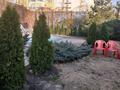 12 бөлме · 450 м² · 1/4 қабат, Тургут Озала 298, бағасы: 105 000 ₸ в Алматы, Бостандыкский р-н — фото 26