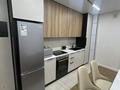 2-комнатная квартира · 57 м² · 5/9 этаж, Байдибек би 225 за 250 000 ₸ в Шымкенте, Енбекшинский р-н — фото 3