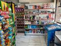 Магазины и бутики · 50 м² за 350 000 ₸ в Алматы, Жетысуский р-н — фото 10