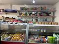 Магазины и бутики · 50 м² за 350 000 ₸ в Алматы, Жетысуский р-н — фото 6