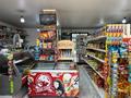 Магазины и бутики · 50 м² за 350 000 ₸ в Алматы, Жетысуский р-н — фото 7