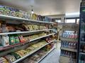 Магазины и бутики · 50 м² за 350 000 ₸ в Алматы, Жетысуский р-н — фото 8