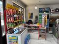 Магазины и бутики · 50 м² за 350 000 ₸ в Алматы, Жетысуский р-н — фото 9