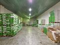 Свободное назначение, офисы, склады · 2170 м² за 1.3 млрд 〒 в Астане, Сарыарка р-н — фото 25