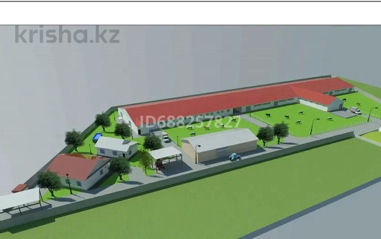 Молочно-товарная ферма · 5000 м² за 300 млн ₸ в Остемире — фото 12
