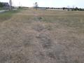 Участок · 50 соток, Үшқоңыр 10 за 12 млн ₸ в Каскелене — фото 4
