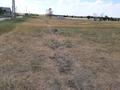 Участок · 50 соток, Үшқоңыр 10 за 12 млн ₸ в Каскелене — фото 5