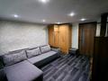 Отдельный дом · 2 комнаты · 40 м² · 6 сот., Бабина 81 — Зеленстрой за 15 млн ₸ в Павлодаре — фото 12