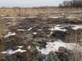 Участок · 635 соток, Садовая 11д — Шоссейная за 150 млн ₸ в Байтереке (Новоалексеевке) — фото 5