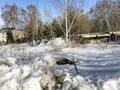 Участок · 10 соток, Канай би — Центральное отопление за 43 млн ₸ в Щучинске — фото 4