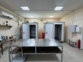 Қоғамдық тамақтану орны · 80 м², бағасы: 26 млн ₸ в Астане, Сарайшык р-н — фото 3