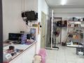 Еркін · 80 м², бағасы: 60 млн ₸ в Алматы, Наурызбайский р-н — фото 6