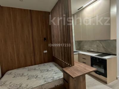 1-бөлмелі пәтер · 25 м² · 1/12 қабат, Сейфулина 469а​, бағасы: 300 000 ₸ в Алматы, Алмалинский р-н