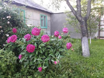 Үйдің бір бөлігі · 3 бөлме · 40 м² · 3.2 жүзд., Красноводская 35, бағасы: ~ 18.3 млн ₸ в Алматы, Турксибский р-н