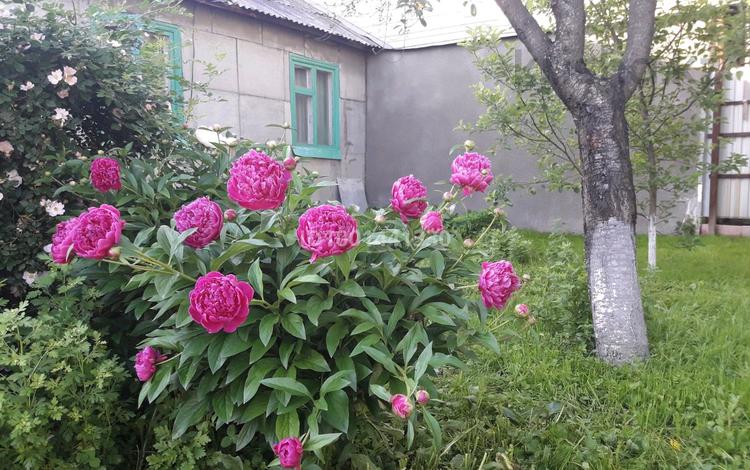 Үйдің бір бөлігі · 3 бөлме · 40 м² · 3.2 жүзд., Красноводская 35, бағасы: ~ 18.3 млн ₸ в Алматы, Турксибский р-н — фото 2