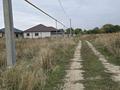 Участок · 5 соток, Кумтоган — По Ташкентской за 9.5 млн ₸ в Кумтогане (Мирном) — фото 10