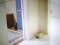 Отдельный дом · 5 комнат · 100 м² · 8 сот., мкр Шанырак-2 36 — А. Закарин 36 за 55 млн 〒 в Алматы, Алатауский р-н — фото 10
