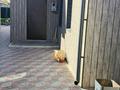 Отдельный дом · 4 комнаты · 93 м² · 427 сот., Сибирская — Угол Чкалова Минина за 30 млн 〒 в Павлодаре — фото 3