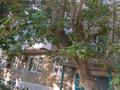 2-комнатная квартира · 47.4 м² · 4/5 этаж, мкр 8, Абулхаирхана 30 — Абулхаирхана 30 за 10.7 млн ₸ в Актобе — фото 10