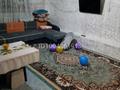Отдельный дом · 4 комнаты · 75 м² · 10 сот., Алмалы 1 за 8 млн ₸ в Талдыкоргане — фото 2