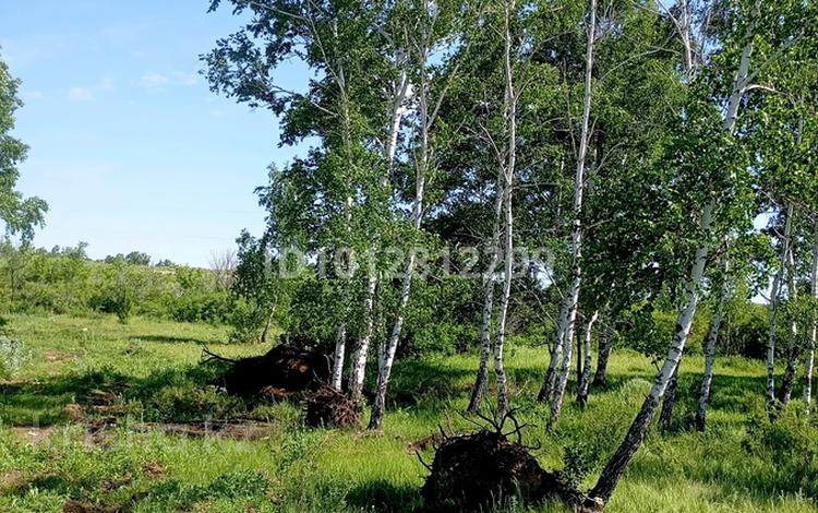 Участок · 9.3 сотки, Д.к.Дорожник ул.Садовая 42А — Луговая 15 за 2 млн ₸ в Кокшетау — фото 2