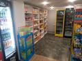 Жеке үй · 4 бөлме · 140 м² · 10 жүзд., Малайсары Тархан 12/2, бағасы: 55 млн ₸ в Кенжеколе — фото 36