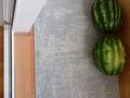 2-комнатная квартира · 46 м² · 3/5 этаж, мкр Таугуль — ул. Пятницкого -ул. Шалова за 45.6 млн ₸ в Алматы, Ауэзовский р-н — фото 28