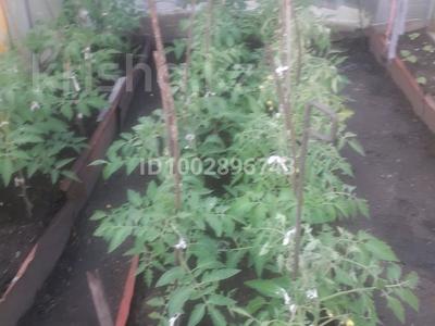 Отдельный дом · 3 комнаты · 62 м² · 6 сот., Луначарского за 16 млн 〒 в Темиртау