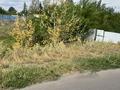 Участок · 11.89 соток, Приозерная за 3.8 млн ₸ в Темиртау — фото 2