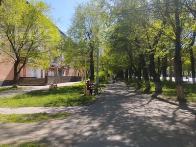 3-комнатная квартира · 64 м² · 4/5 этаж, Мкрн Талас 3 за 18.2 млн ₸ в Таразе