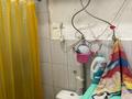 Отдельный дом · 3 комнаты · 34.7 м² · 3 сот., Комбинатская за 11.5 млн ₸ в Семее — фото 13