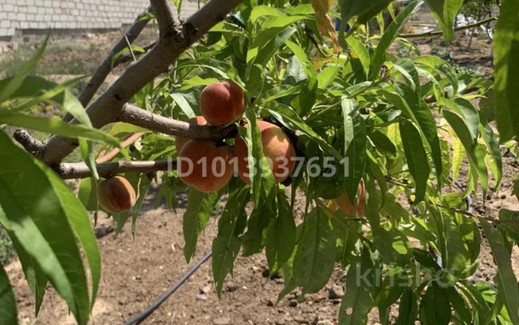 Жеке үй · 3 бөлме · 150 м² · 15 жүзд., 10 231 — 5участок, ул 10,дом231, бағасы: 17 млн ₸ в Саина Шапагатовой — фото 2