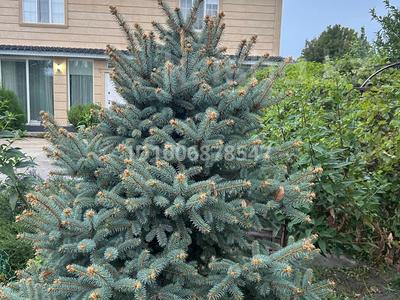 Отдельный дом · 4 комнаты · 200 м² · 12 сот., Береке (Память Ильича) — АНУ-1 101 б за 85 млн ₸ в Атырау