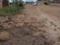 Участок · 8 соток, Аралбай Батырк за 16 млн ₸ в Жаркенте