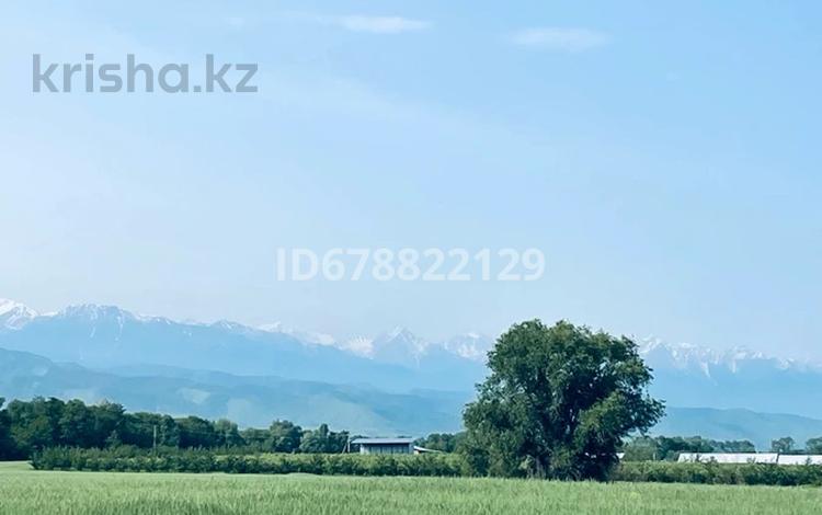 Жер телімі · 1.3 га, Белбұлақ (Мичурино), бағасы: 200 млн ₸ в Бельбулаке (Мичурино) — фото 2