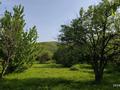 Жер телімі · 5 сотық, Каскеленское ущелье, бағасы: 5.2 млн ₸ — фото 4
