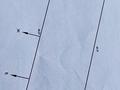 Жеке үй · 2 бөлме · 26 м² · 5.84 жүзд., Достоевского 134 — Парк Победы, бағасы: 29 млн ₸ в Шымкенте, Енбекшинский р-н — фото 7