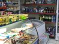 Магазины и бутики • 61.7 м² за 63 млн 〒 в Алматы, Бостандыкский р-н — фото 11