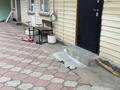 Свободное назначение · 1000 м² за 65 млн ₸ в Талгаре — фото 2