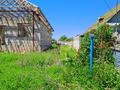 Отдельный дом · 3 комнаты · 66.4 м² · 8 сот., Турысжана Акшала 54 за 9 млн ₸ в Каракастеке — фото 4