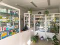 Медцентры и аптеки · 87.7 м² за 40 млн 〒 в Таразе — фото 6