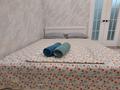 1-бөлмелі пәтер · 45 м² · 1/12 қабат, Сейфулина — Торекулова, бағасы: 20 000 ₸ в Алматы, Алмалинский р-н — фото 2