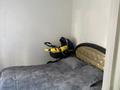 3-бөлмелі пәтер · 47 м² · 5/5 қабат, Пришахтинск, 22й микрорайон 25, бағасы: 13.7 млн ₸ в Караганде, Алихана Бокейханова р-н — фото 5