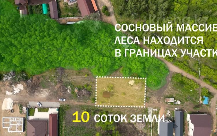 Жер телімі 10 сотық, 2-я Пушкина, бағасы: 15 млн 〒 в Щучинске — фото 7