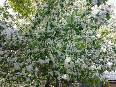 Жеке үй · 5 бөлме · 64 м² · 8 сот., Трудовая, бағасы: 11 млн 〒 в Сарани