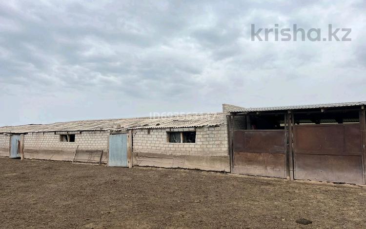 Сельское хозяйство · 3000 м² за 32 млн 〒 в Таразе — фото 2