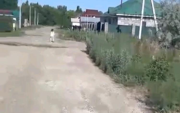 Жер телімі · 8 сотық, мкр Северо-Западный, Астана — Бестерек, бағасы: 8 млн ₸ в Талдыкоргане — фото 2
