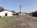 Сельское хозяйство · 15000 м² за 500 000 〒 в  — фото 5