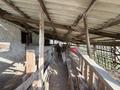 Сельское хозяйство · 15000 м² за 500 000 〒 в  — фото 8