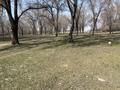 Участок · 6 соток, Байтерек (Новоалексеевка) за 5 млн ₸ — фото 3
